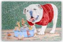 Dawg Food