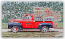 Dawg Catcher