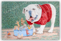 Dawg Food