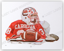 Gamecock Football