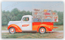 In The Driver's Seat