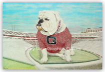 Between the Hedges